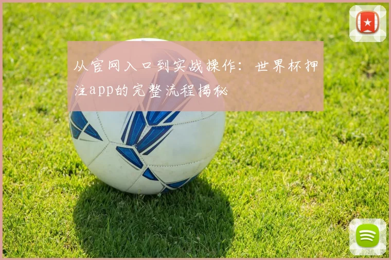 从官网入口到实战操作：世界杯押注app的完整流程揭秘