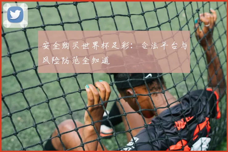 安全购买世界杯足彩：合法平台与风险防范全知道